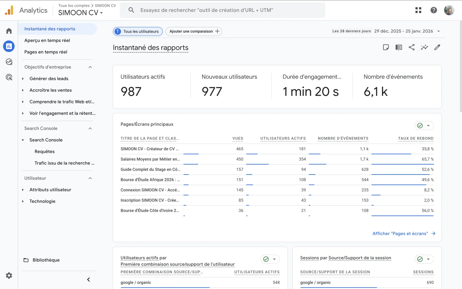 Google Analytics - Vue d'ensemble
