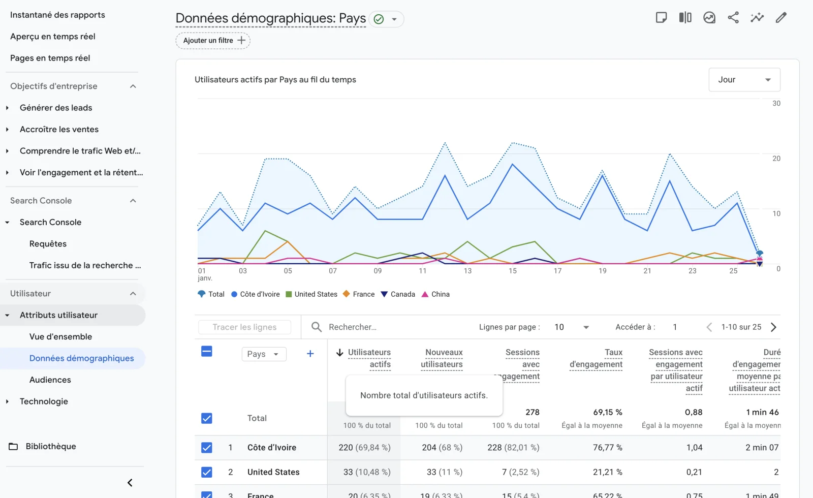Google Analytics - Données démographiques